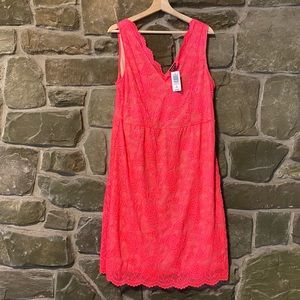 Torrid Bodycon Lace Dress